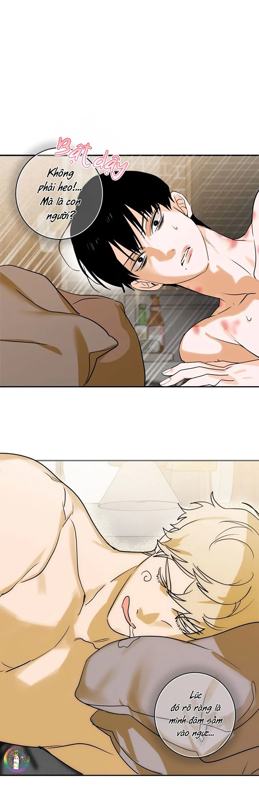 Day 8 Chapter 1 Làm quả lọ - Next Chapter 2