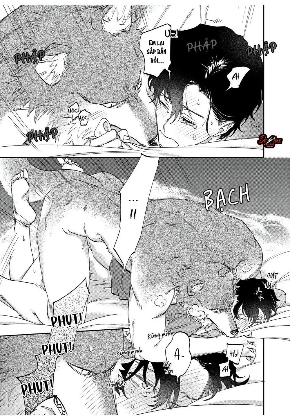 Tình Yêu Mãnh Liệt Của Ngài Sói Chapter 13 - Next Chapter 14 END