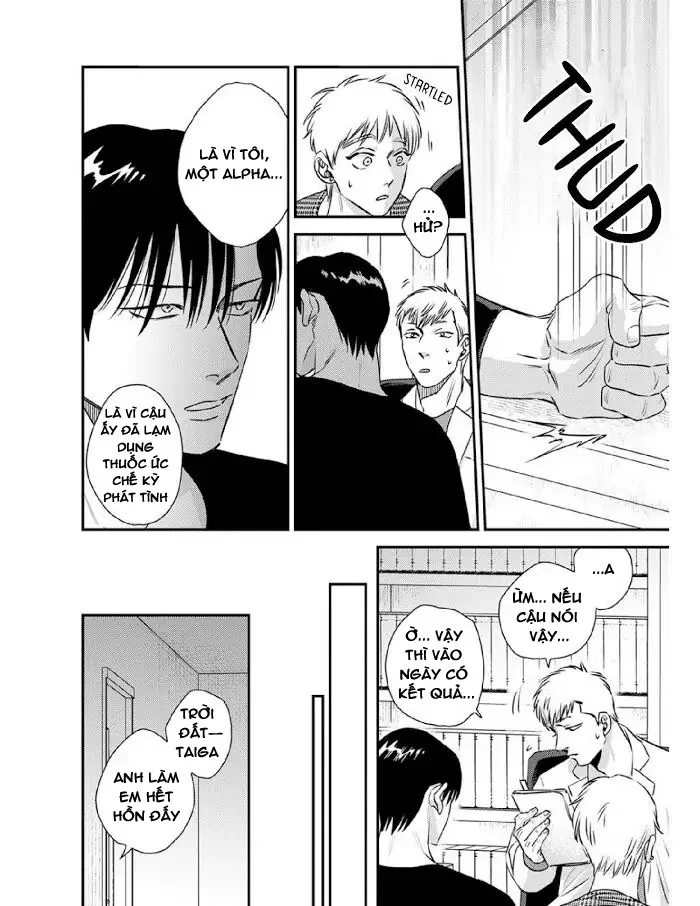 Ranh Giới Tuổi Trẻ Chapter 15 - Next Chapter 16