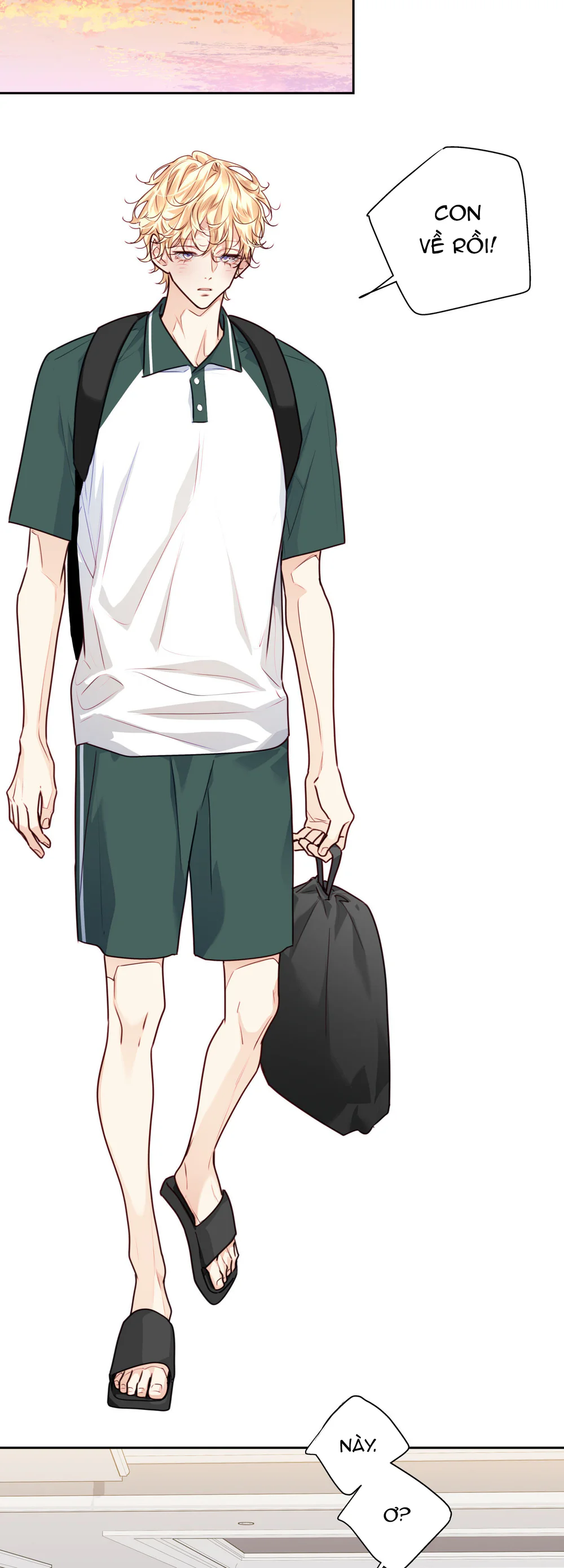 Love is an illusion! Superstar Chapter 31 - Next 