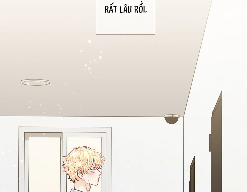 Love is an illusion! Superstar Chapter 31 - Next 