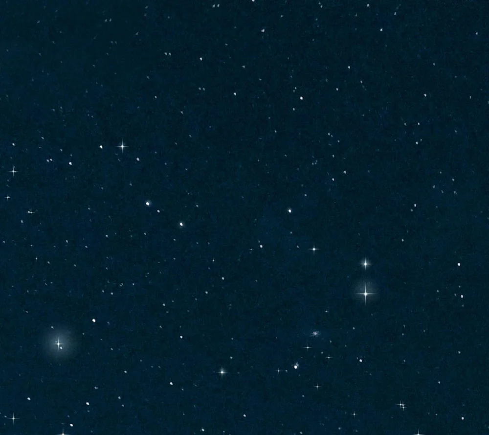 Vết Đỏ Chapter 37 - Next 