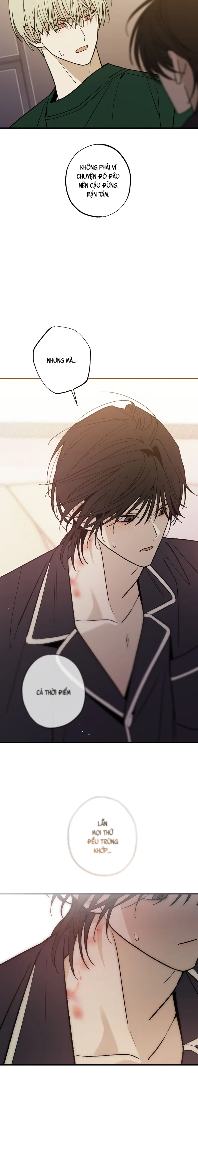 Chứng Nhận Quan Hệ Gia Đình Chapter 17 - Next Chapter 18