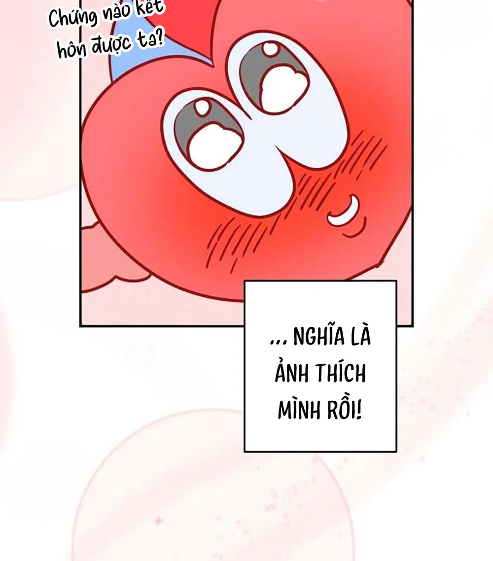 Day 8 Chapter 4 - Next Chapter 5