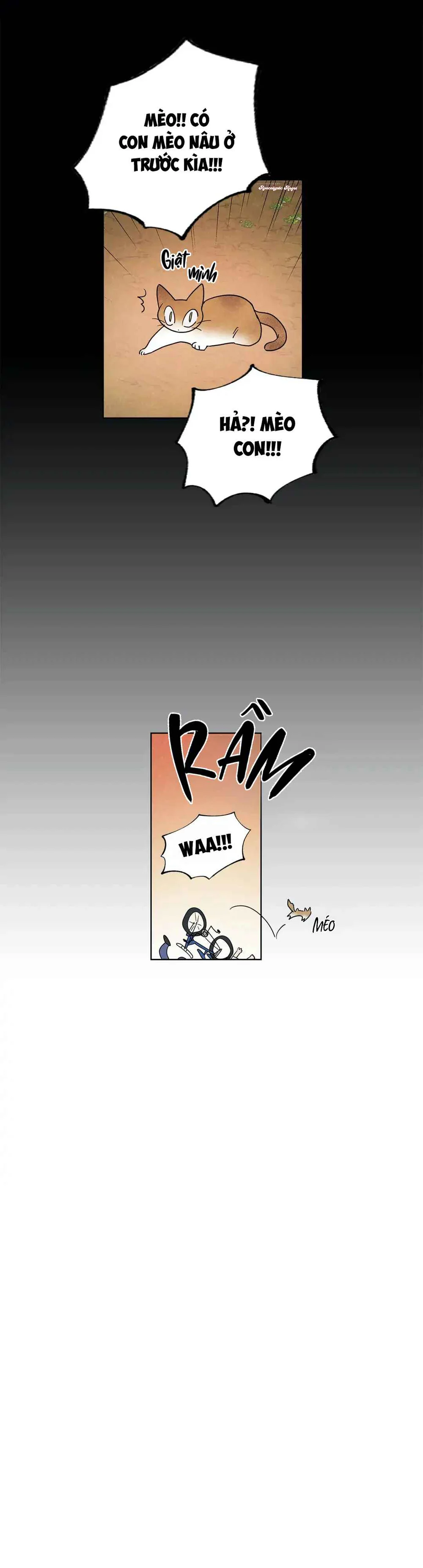 Một Bó Rau Chân Vịt Chapter 9 - Next 