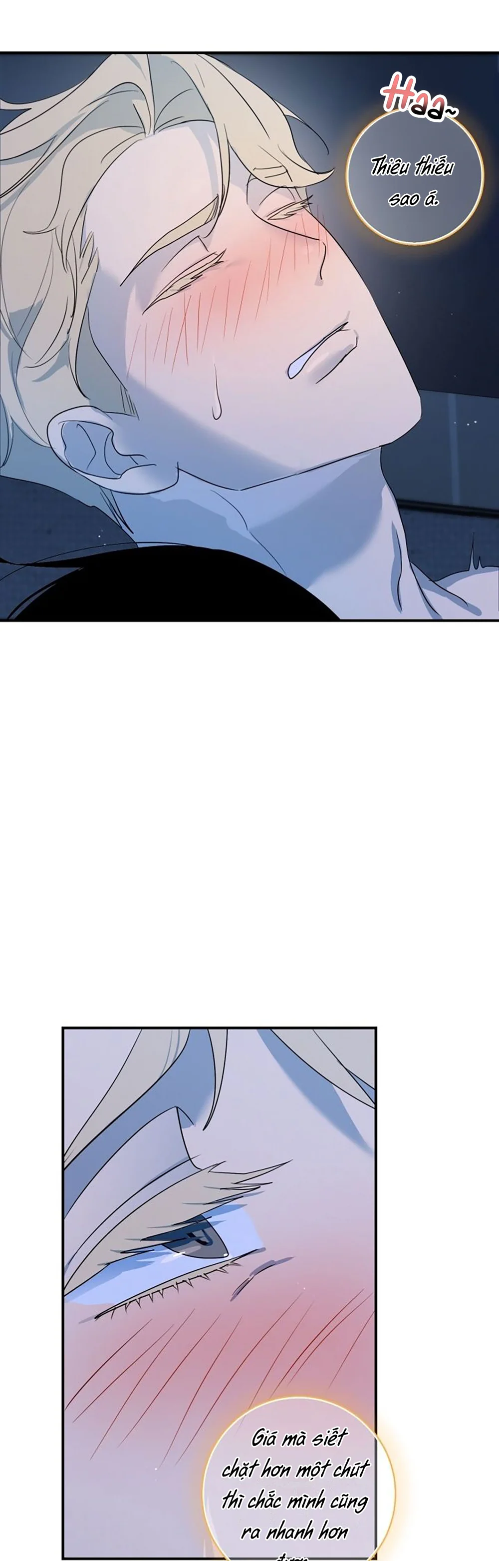 Day 8 Chapter 5 - Next Chapter 6