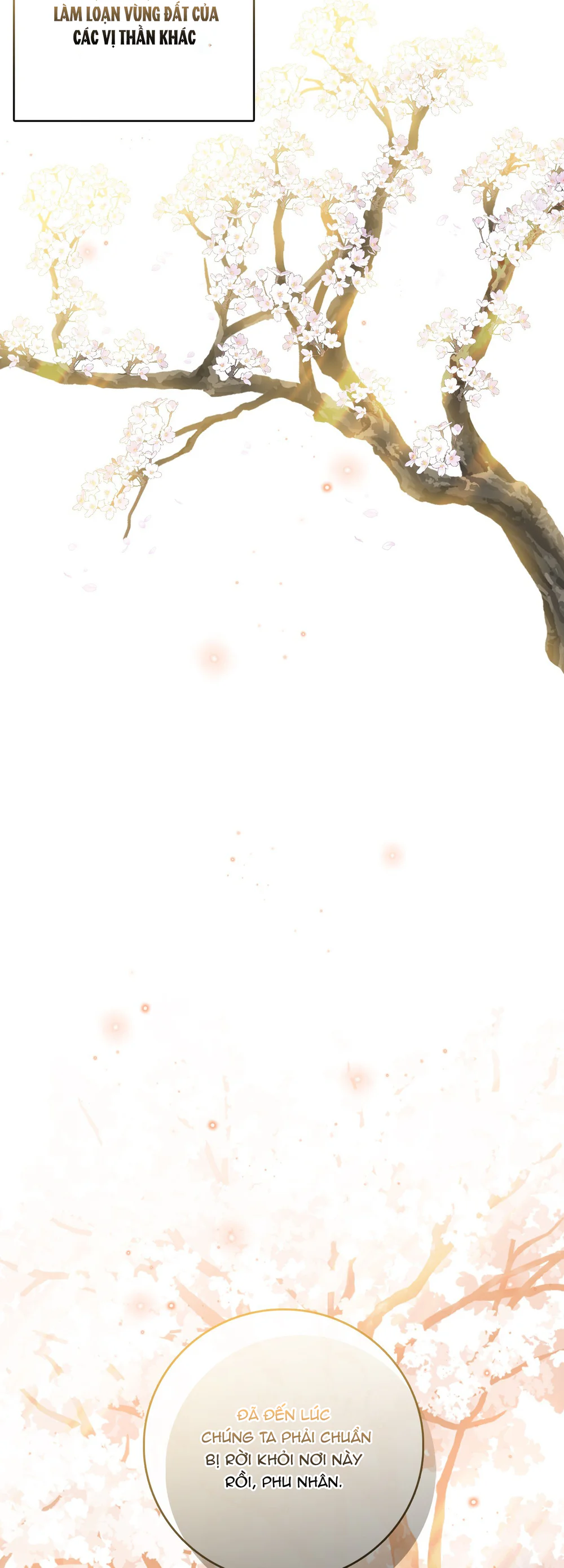 ĐÓA HOA NỞ TRONG ĐÊM TRẮNG Chapter 12 - Next 