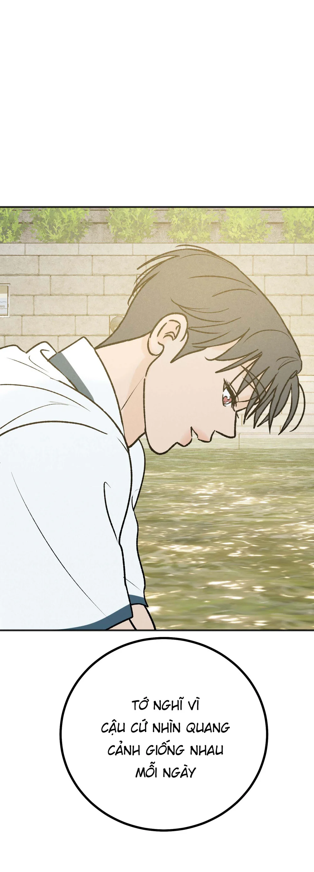 Vết Đỏ Chapter 52 - Next Chapter 53