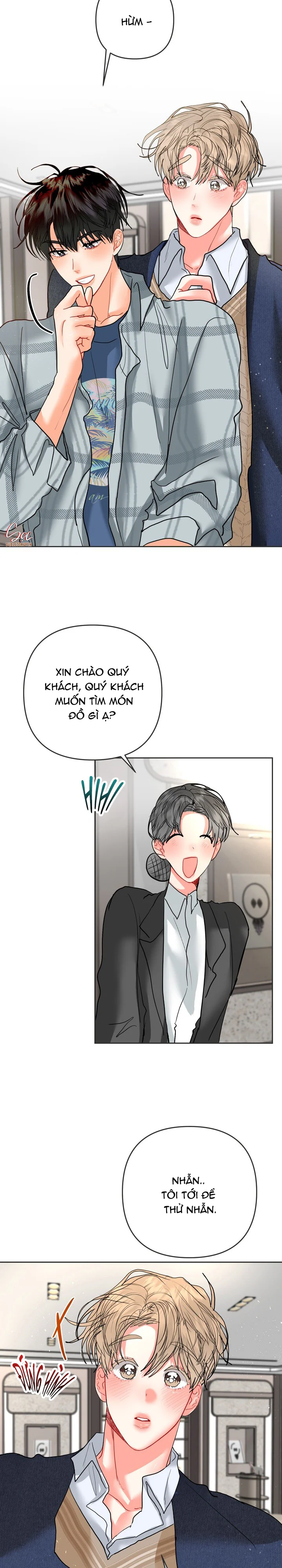 (AxB) OMEGA CỦA ANH TRAI Chapter 36 - Next 