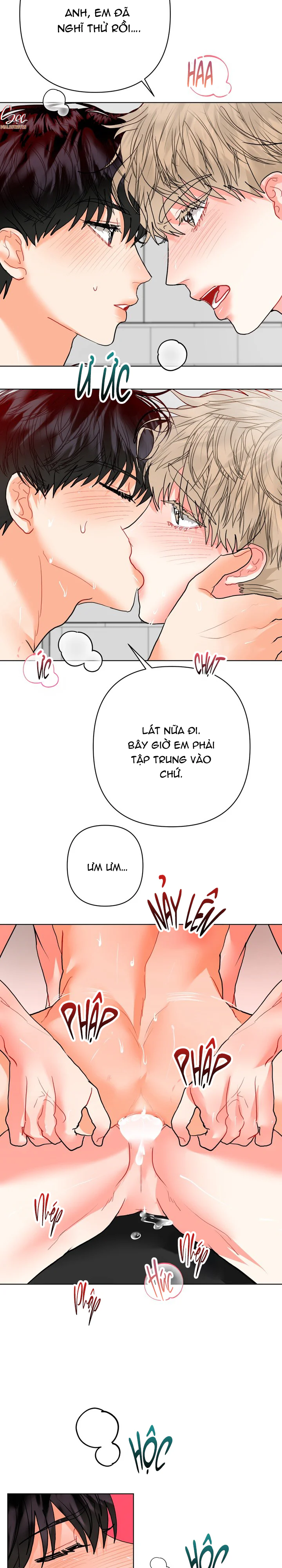 (AxB) OMEGA CỦA ANH TRAI Chapter 36 - Next 