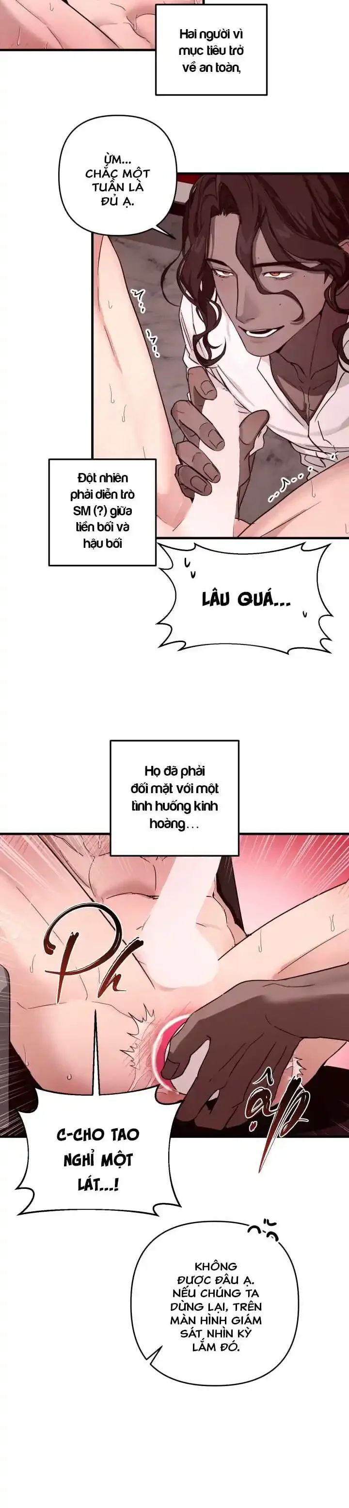 Người cố vấn hoàn mỹ Chapter 2 H+++ - Next Chapter 3 H+++