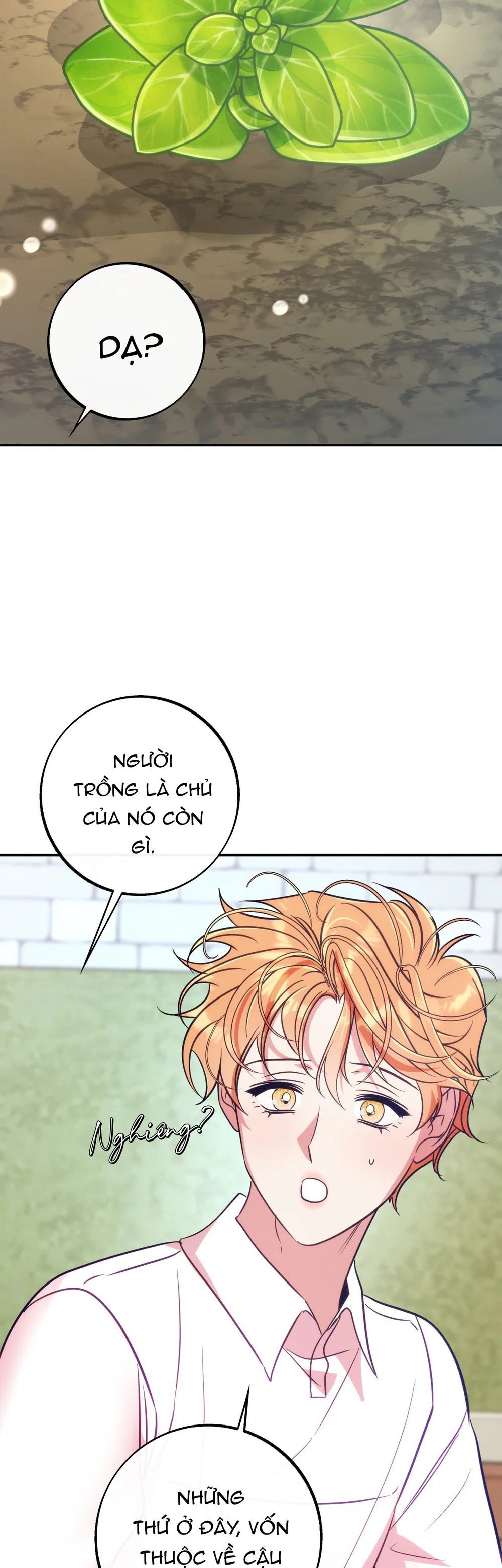 ORCA MANSION Chapter 18 - Next Chapter 19