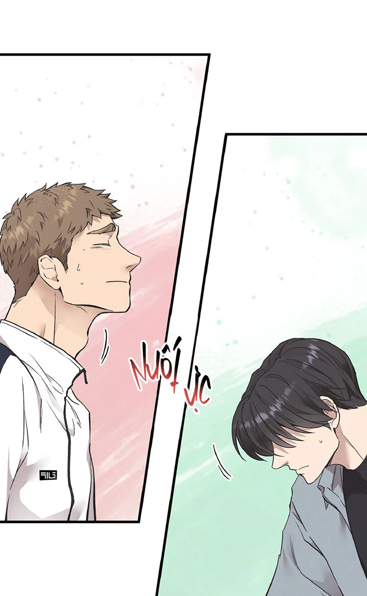 HONEY BEAR Chapter 86 - Next 