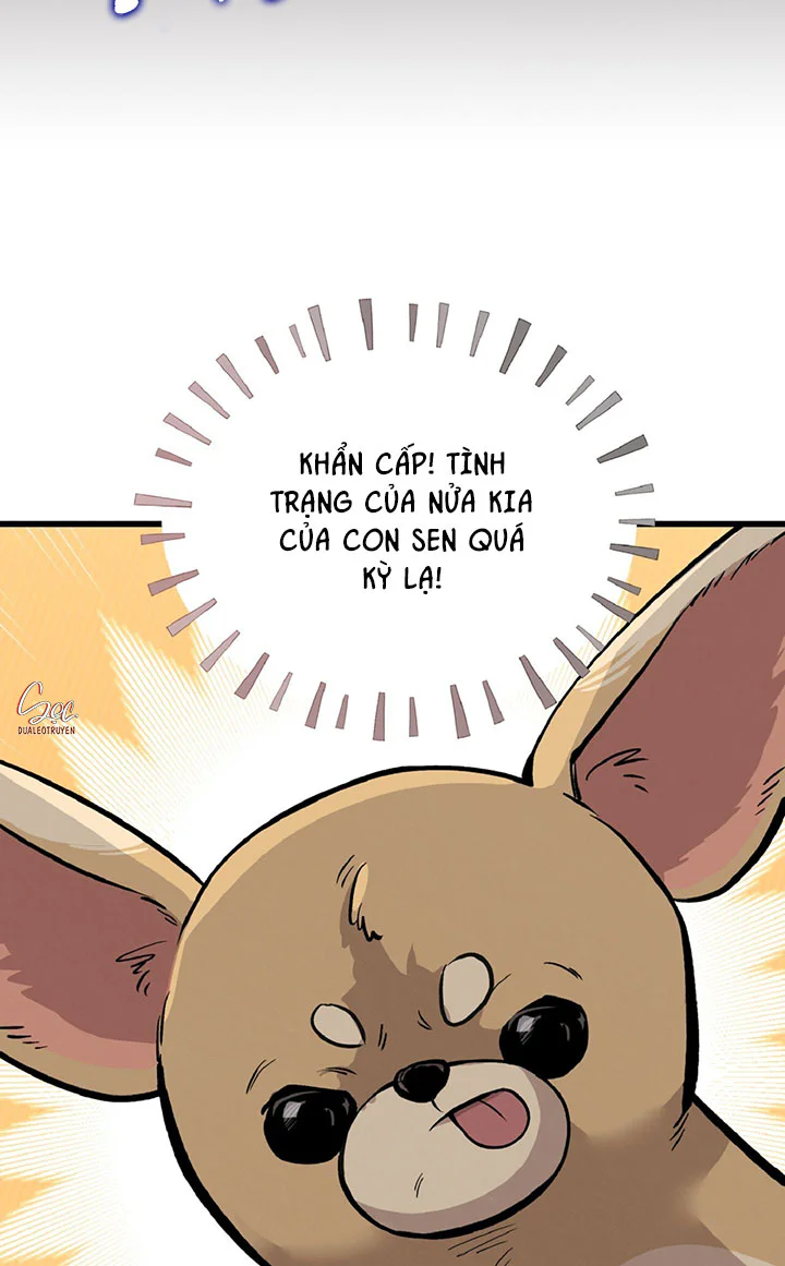 HONEY BEAR Chapter 86 - Next 