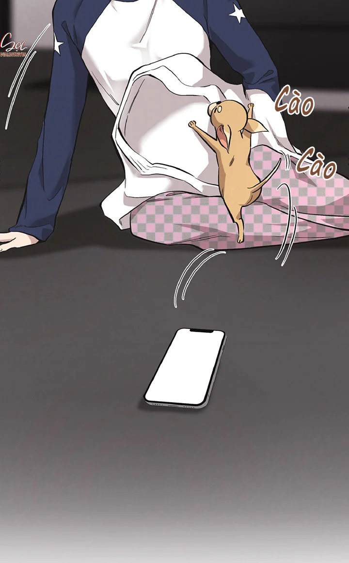 HONEY BEAR Chapter 86 - Next 