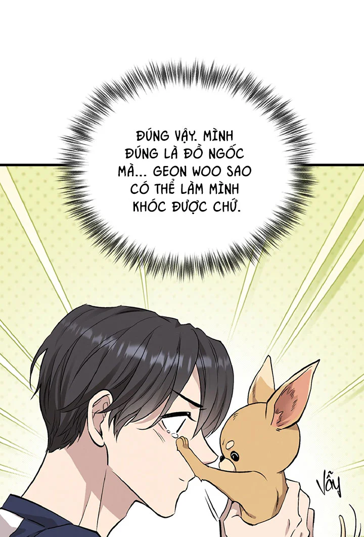 HONEY BEAR Chapter 86 - Next 