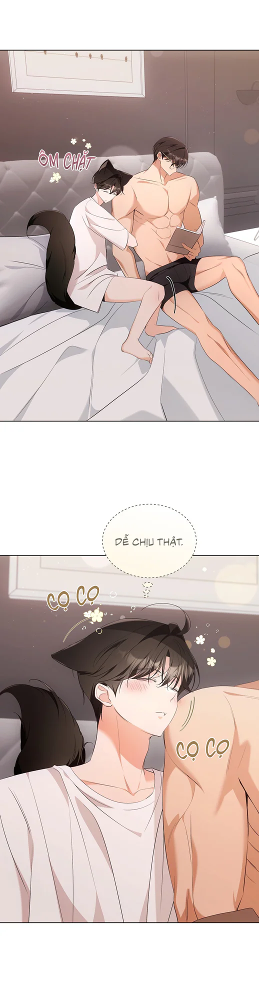 LIỆU PHÁP TRỊ LIỆU MÈO Chapter 17 - Next 