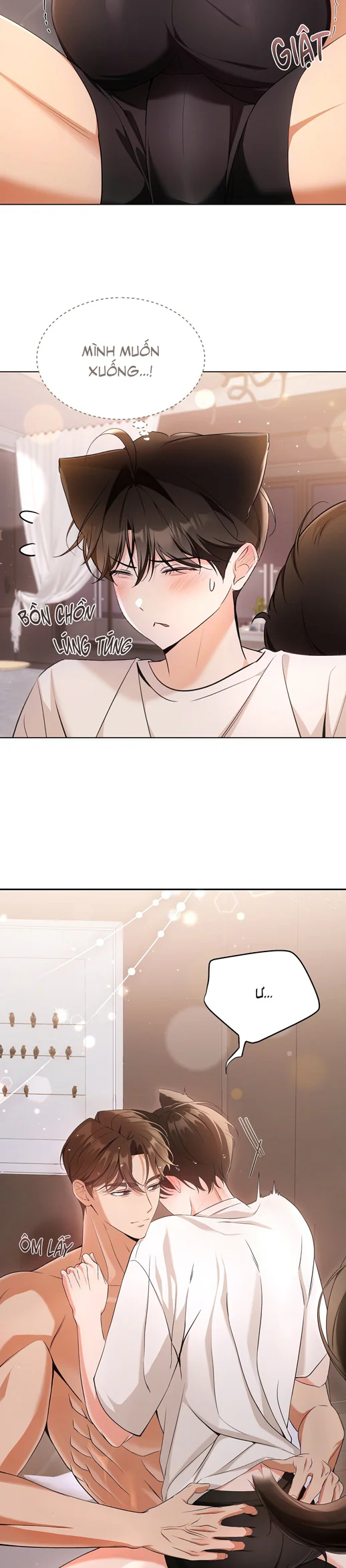 LIỆU PHÁP TRỊ LIỆU MÈO Chapter 17 - Next 