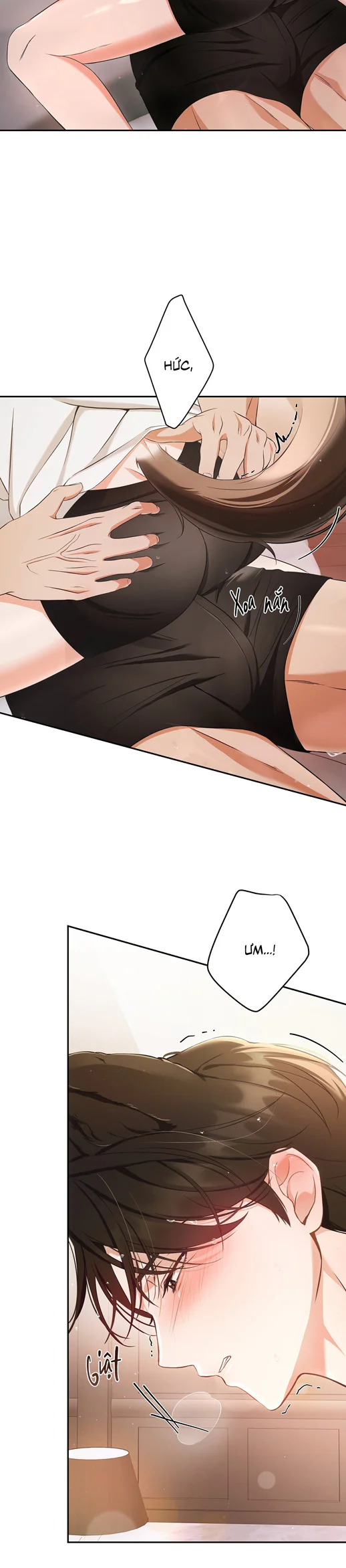 LIỆU PHÁP TRỊ LIỆU MÈO Chapter 17 - Next 