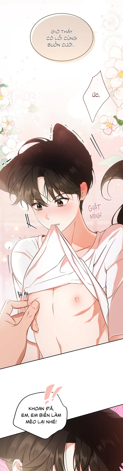 LIỆU PHÁP TRỊ LIỆU MÈO Chapter 17 - Next 