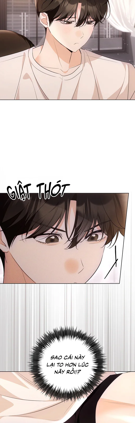 LIỆU PHÁP TRỊ LIỆU MÈO Chapter 17 - Next 