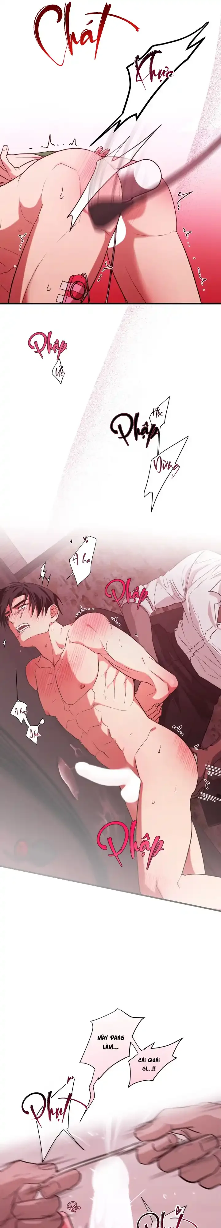 Người cố vấn hoàn mỹ Chapter 4 H+++ - Next Chapter 5