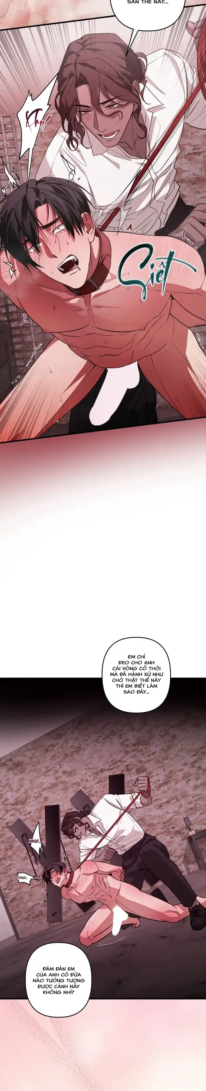 Người cố vấn hoàn mỹ Chapter 4 H+++ - Next Chapter 5