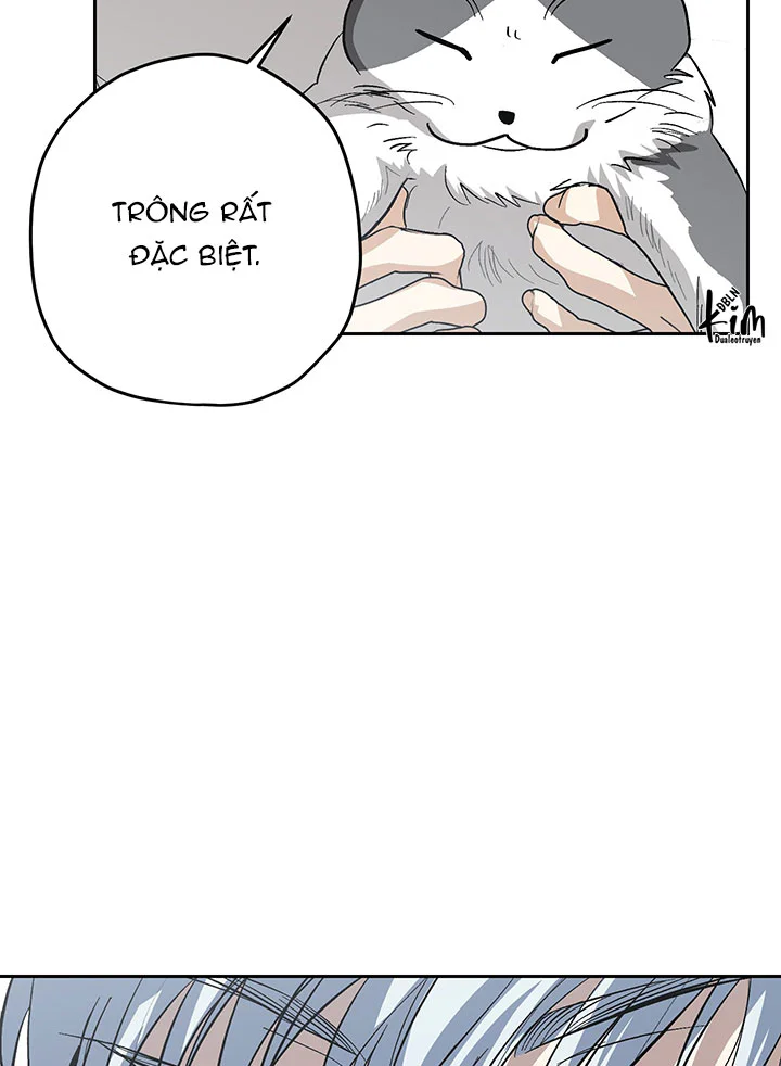 TƯƠNG XỨNG Chapter 27 - Next 