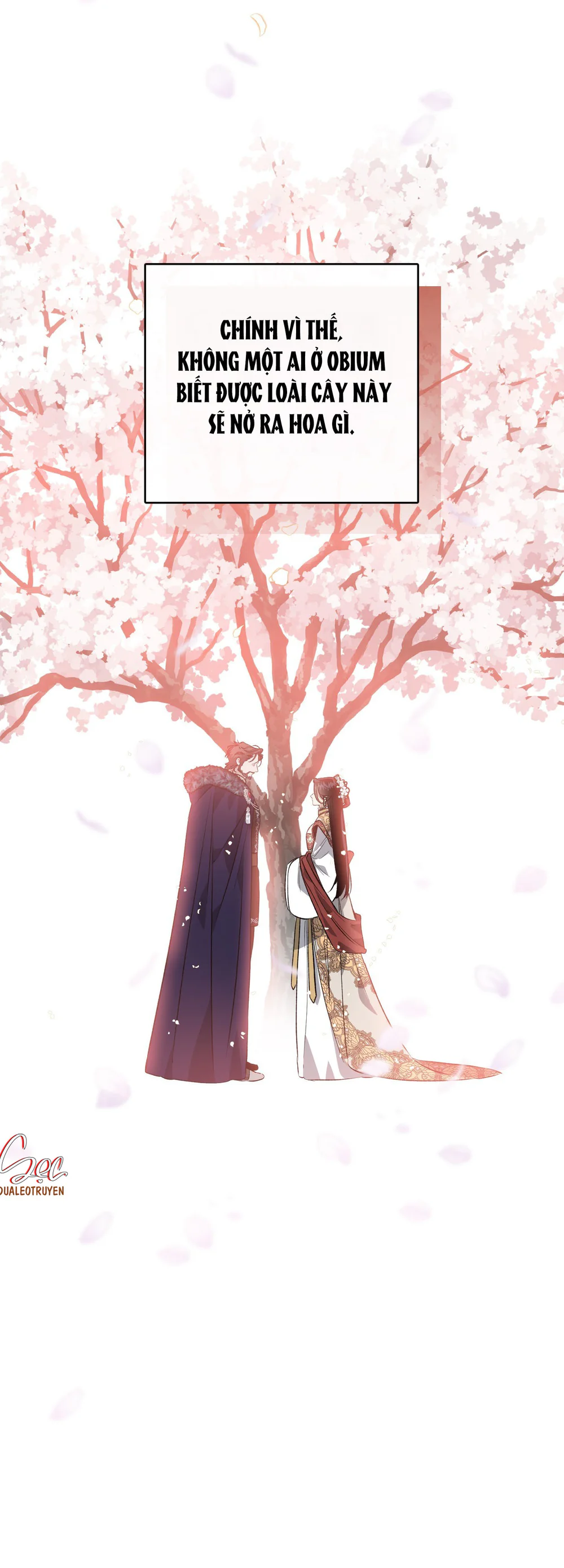 ĐÓA HOA NỞ TRONG ĐÊM TRẮNG Chapter 13 - Next 