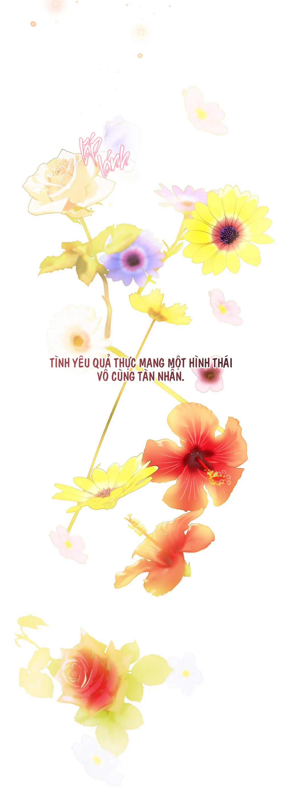 ĐÓA HOA NỞ TRONG ĐÊM TRẮNG Chapter 13 - Next 