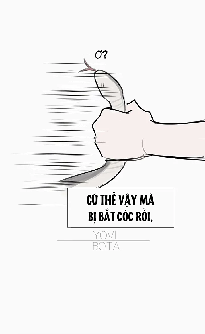 Máu Và Sói Chapter 17 - Next 