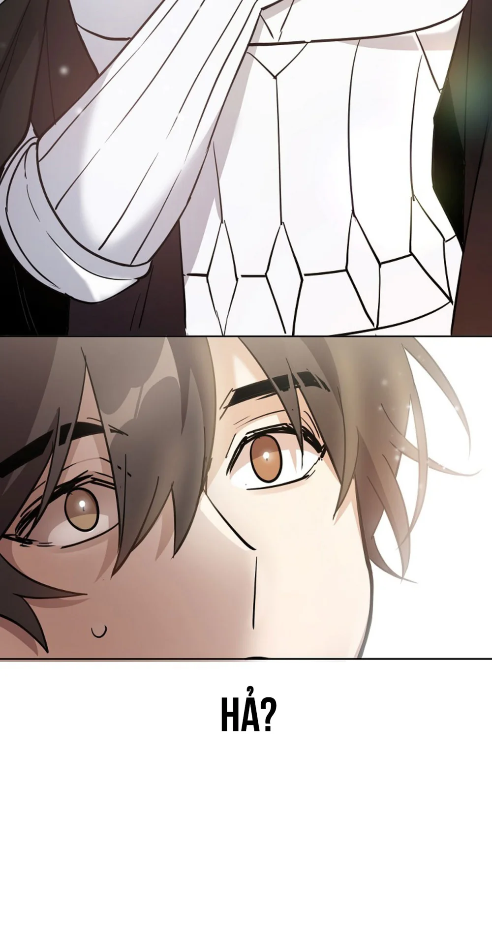 Hãy Lựa Chọn Anh Hùng Của Bạn Thật Cẩn Thận Chapter 25 - Next Chapter 26