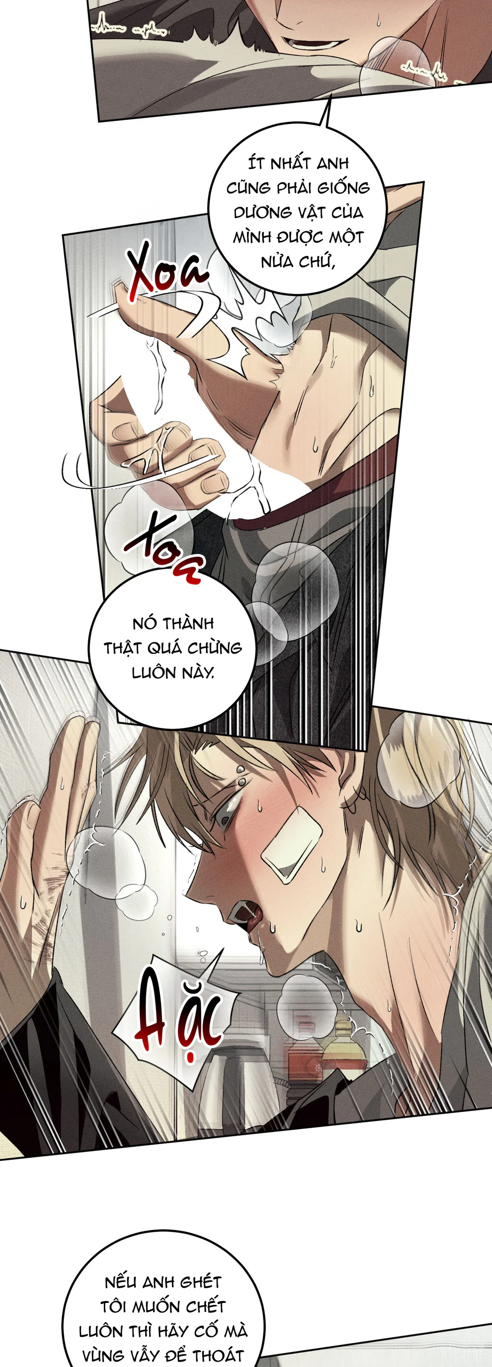 ANH EM TƯƠNG TÀN Chapter 11 - Next 