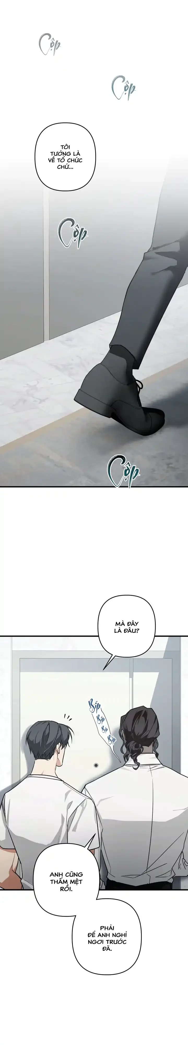 Người cố vấn hoàn mỹ Chapter 5 - Next Chapter 6 H+++