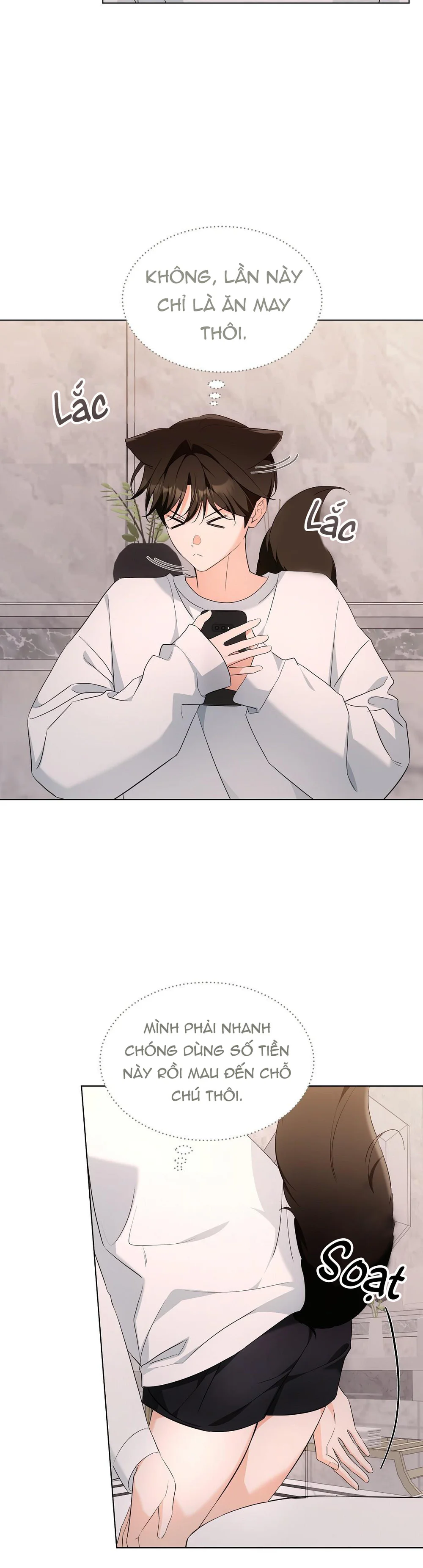 LIỆU PHÁP MÈO Chapter 16 - Next 