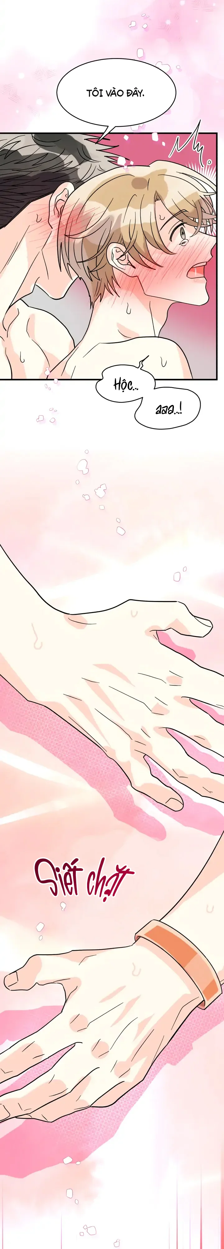 Tổng hợp Manhwa Ngắn Chapter 6.5 - Next 