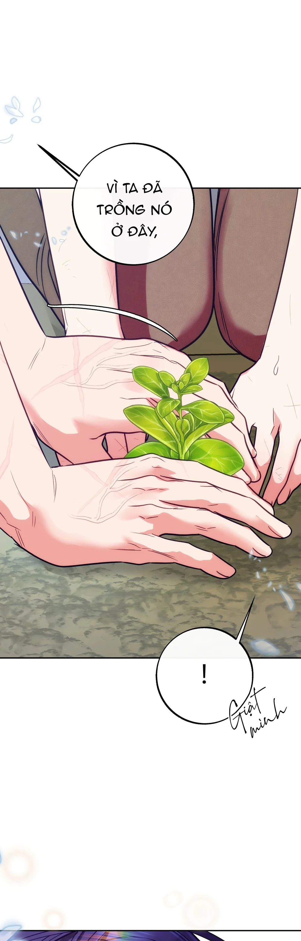 ORCA MANSION Chapter 19 - Next 