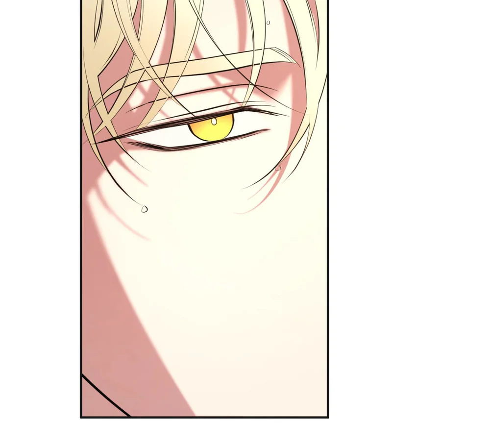 DAWNING LIGHT Chapter 18 - Next 