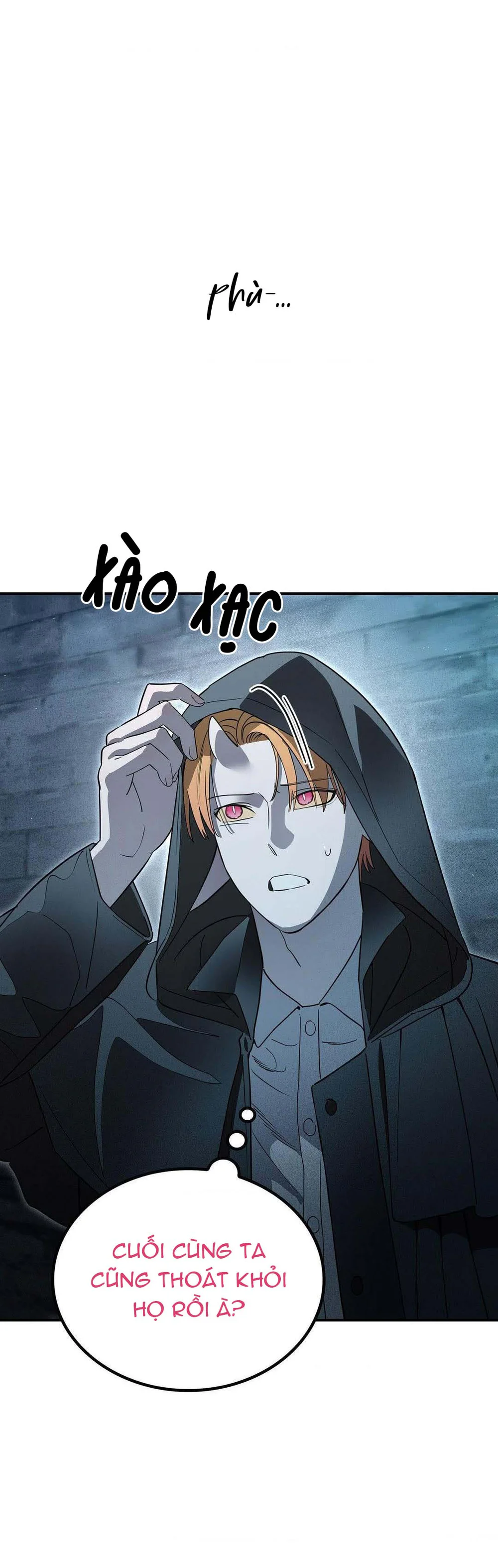 Nguyện Ở Lại Trong Bóng Tối Chapter 4 - Next 