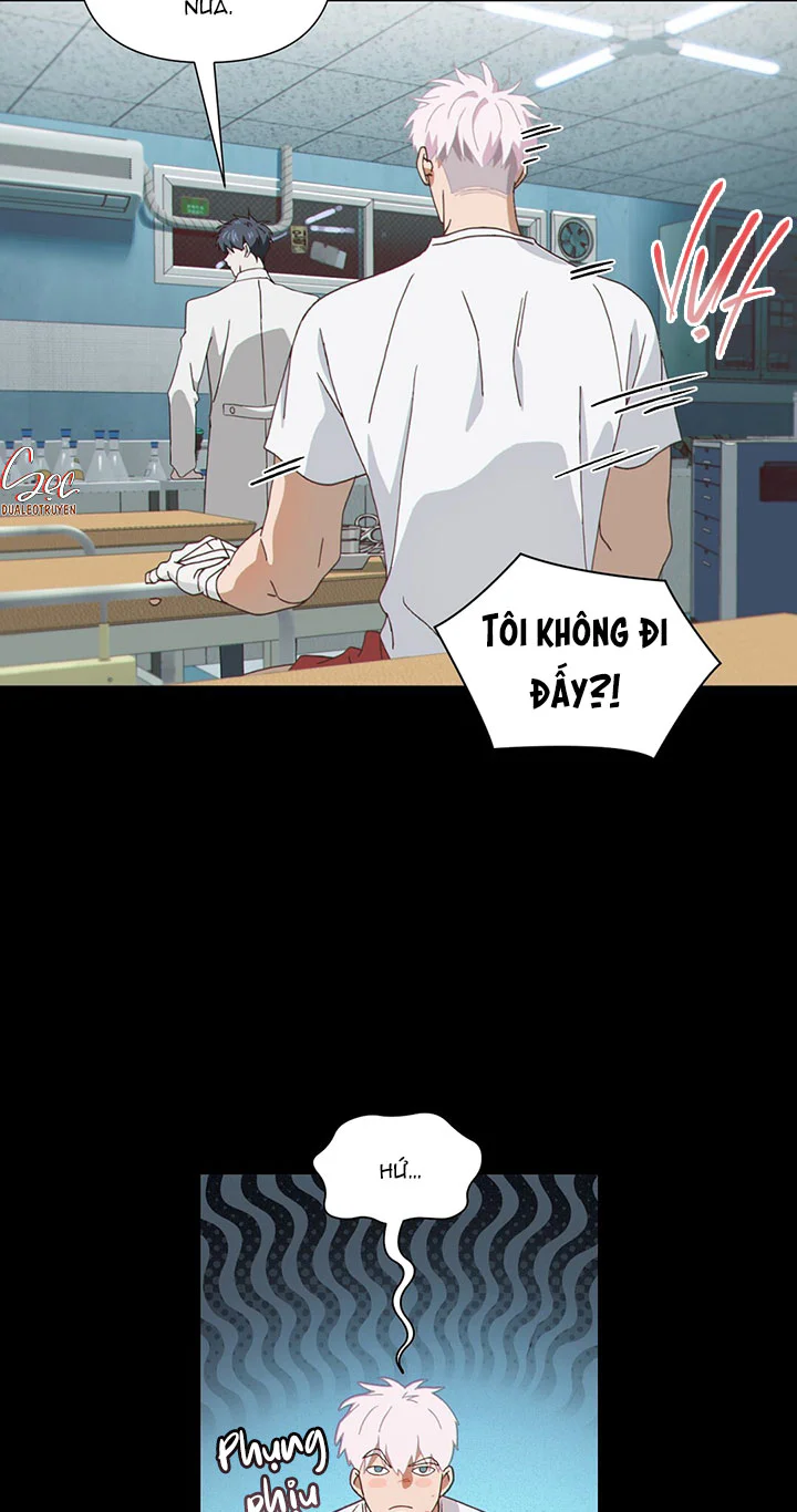 MIGNON Chapter 1 ngang raw - Next 