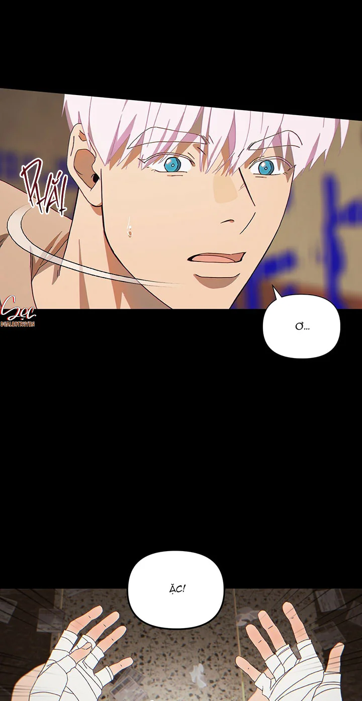 MIGNON Chapter 1 ngang raw - Next 