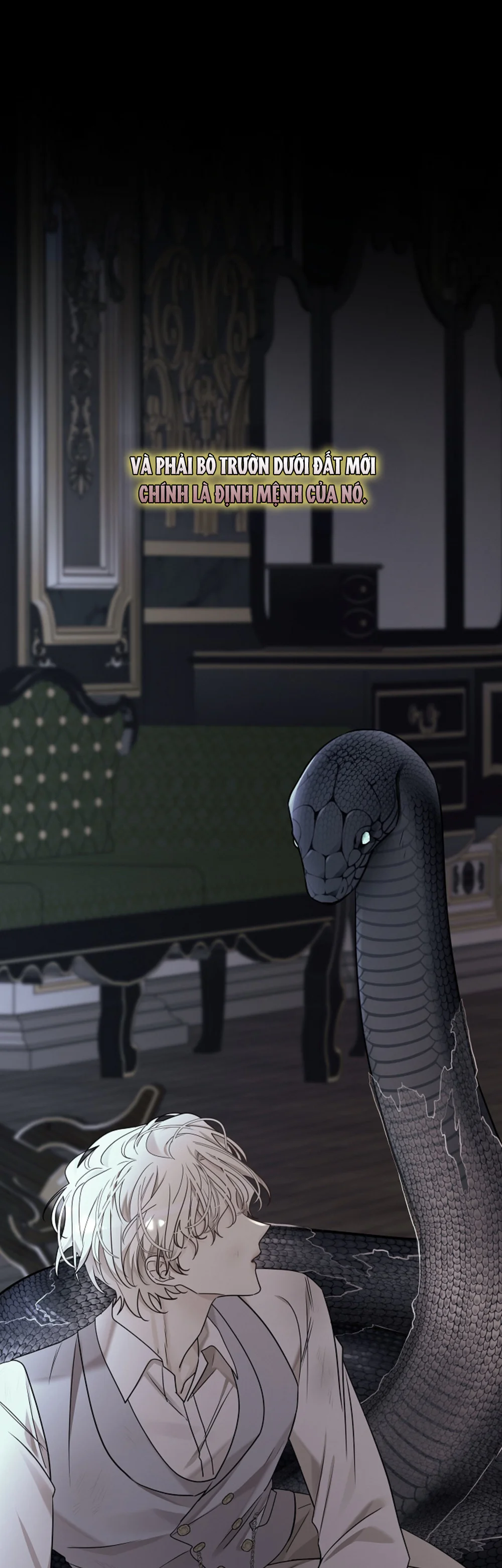 HANG RẮN Chapter 18 - Next Chapter 19