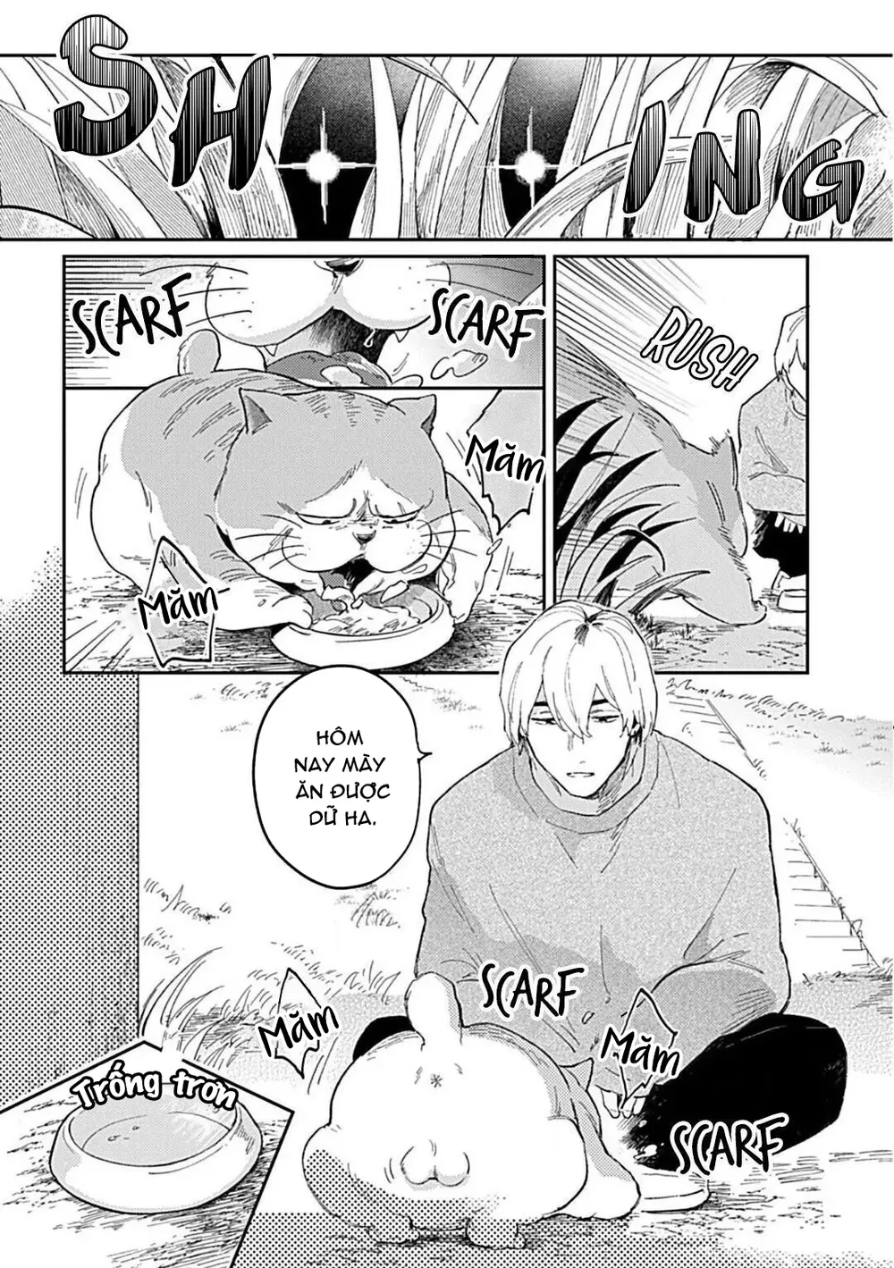 Cuộc Đại Chiến Romeo Và Juliet Ở Ven Sông Chapter 1 - Next 