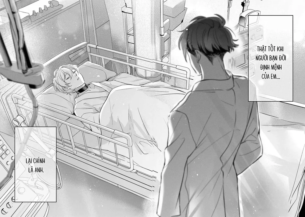 Omega cuối cùng không thể bị đánh dấu!!! Chapter 6 Hachiennhom - Next 