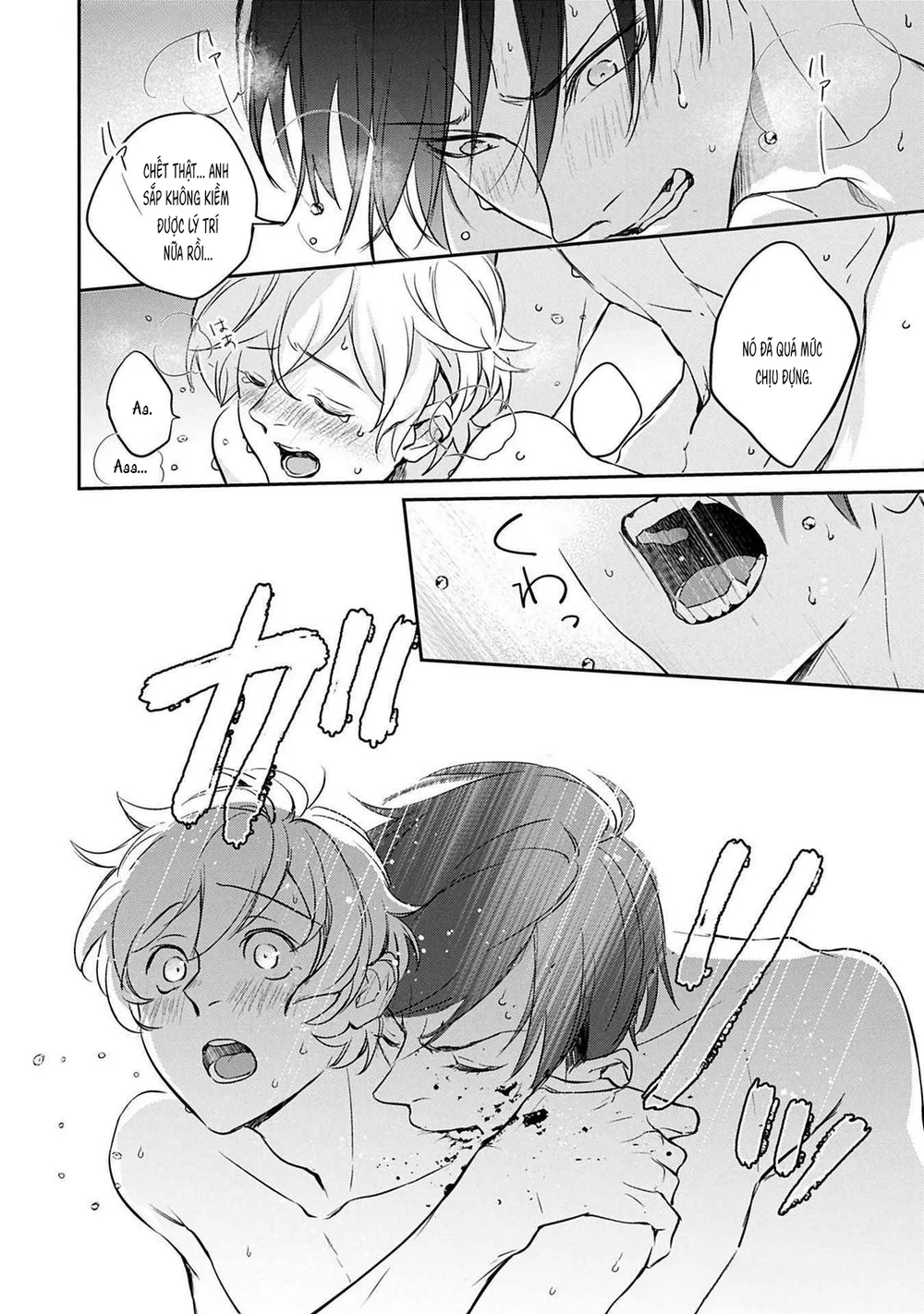 Omega cuối cùng không thể bị đánh dấu!!! Chapter 6 Hachiennhom - Next 