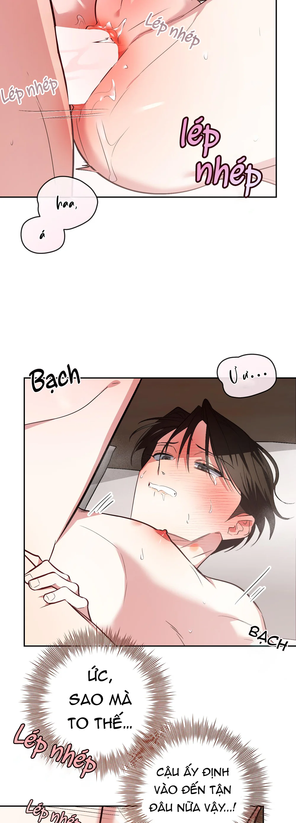 Sinh mèo con cho tôi mau trước khi thằng này điên lên Chapter 22 - Next 