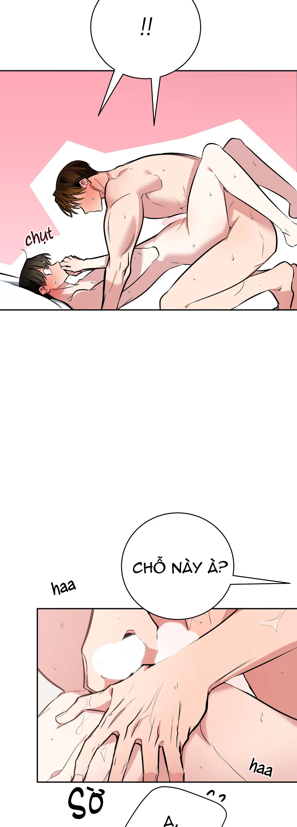 Sinh mèo con cho tôi mau trước khi thằng này điên lên Chapter 22 - Next 