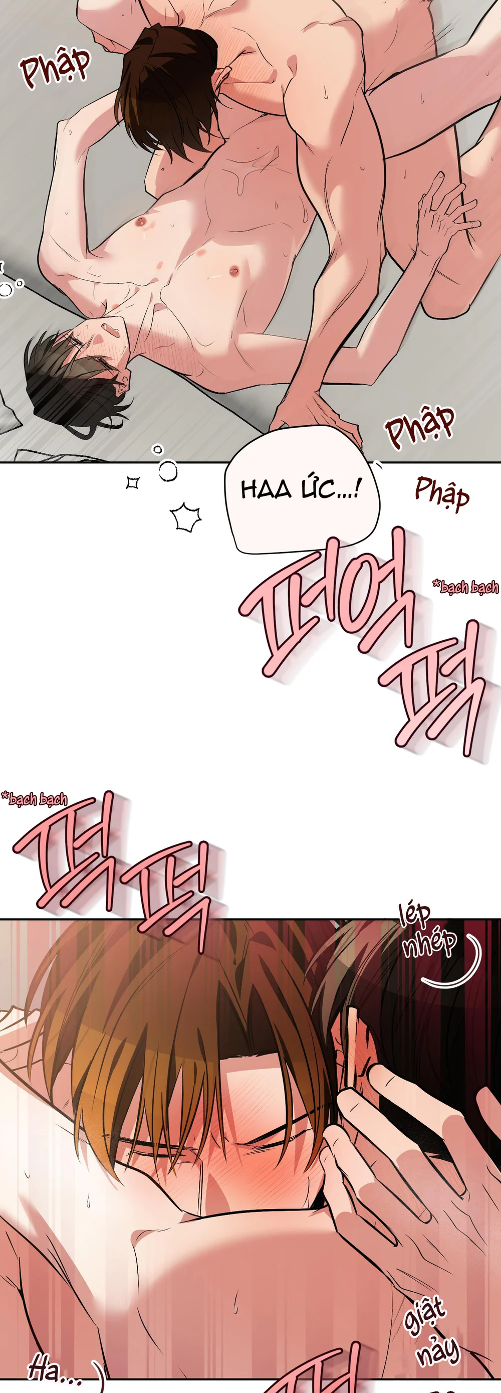 Sinh mèo con cho tôi mau trước khi thằng này điên lên Chapter 22 - Next 