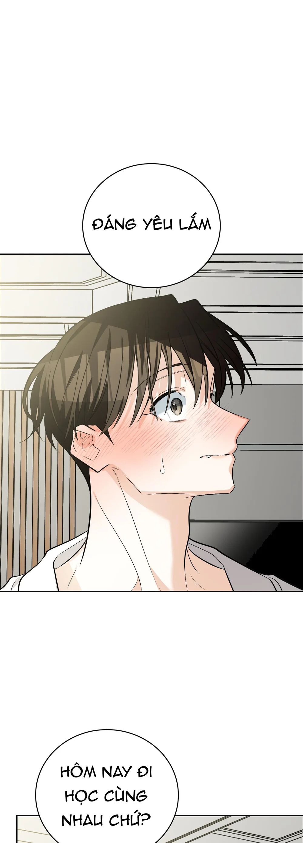 Sinh mèo con cho tôi mau trước khi thằng này điên lên Chapter 22 - Next 