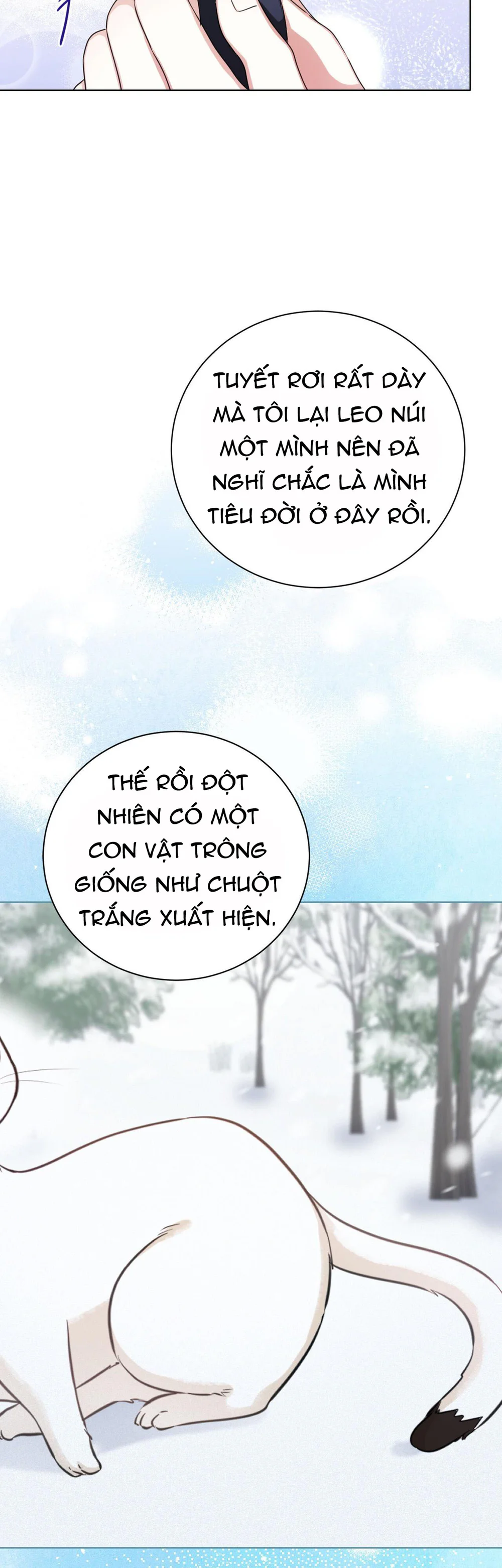 Cảnh báo: có thú dữ kìa Chapter 16 - Next 